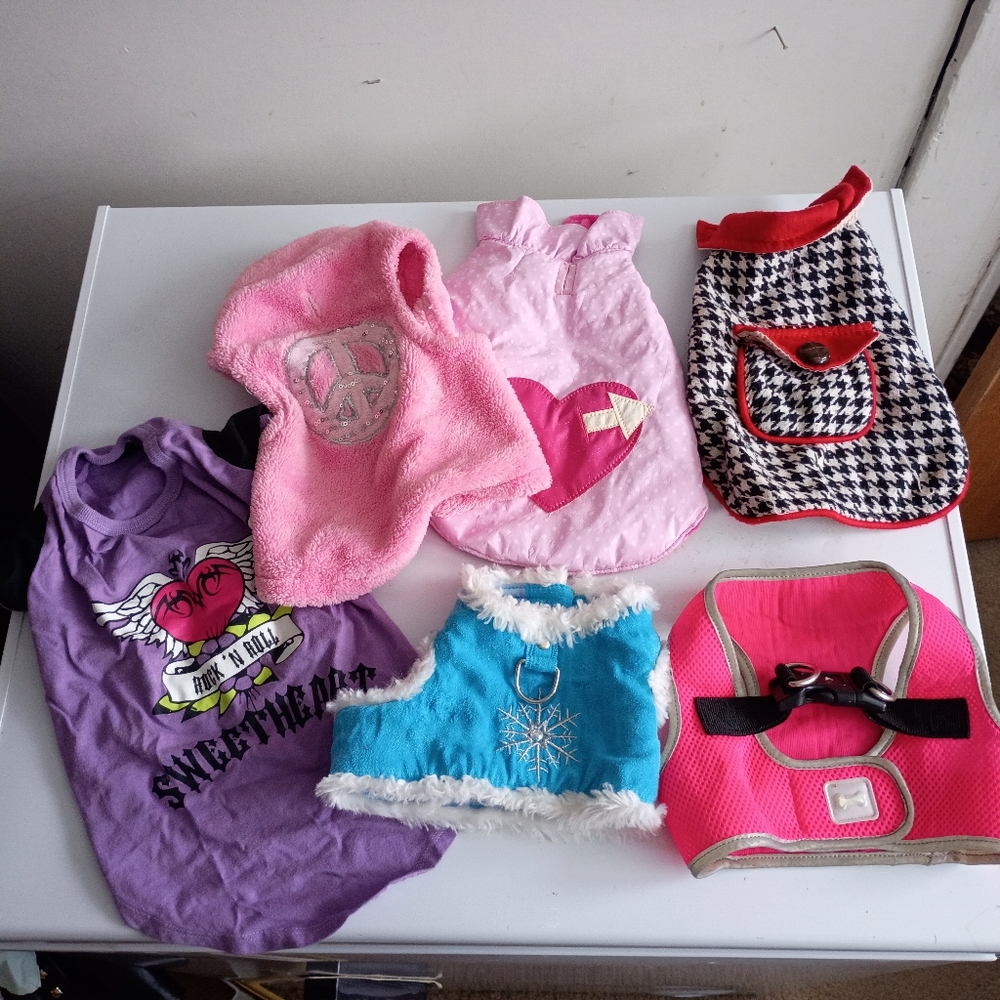 6pc Small Dog Puppy Clothes Lot Bundle Girl